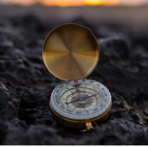 Inner Compass Hormone Balance Tincture.