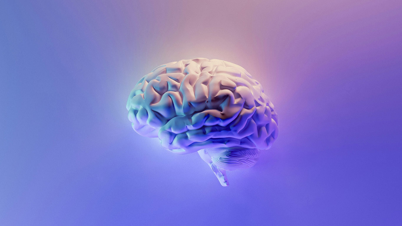 VTCT Skills Level 3 Certificate in Anatomy, Physiology and Pathology for Complementary Therapies delivered by Best You Training